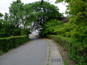 ファイル 735-2.jpg