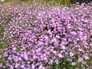 ファイル 735-3.jpg