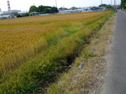 ファイル 735-4.jpg