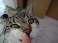 ファイル 736-2.jpg