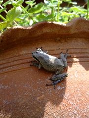 ファイル 741-1.jpg