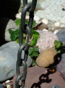 ファイル 741-3.jpg