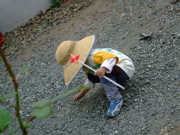 ファイル 742-1.jpg