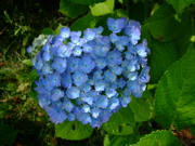 ファイル 748-1.jpg