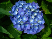 ファイル 748-2.jpg