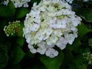 ファイル 748-3.jpg