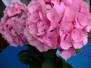 ファイル 748-5.jpg