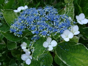 ファイル 749-2.jpg