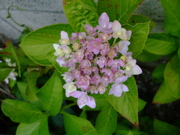 ファイル 749-3.jpg