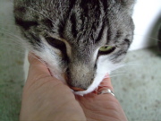 ファイル 760-1.jpg