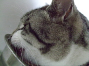 ファイル 760-2.jpg