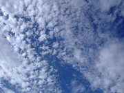 ファイル 763-1.jpg