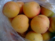 ファイル 764-1.jpg