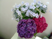 ファイル 767-1.jpg