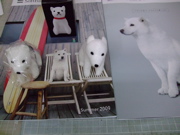 ファイル 773-1.jpg