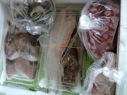 ファイル 778-1.jpg