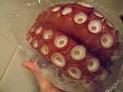 ファイル 778-2.jpg