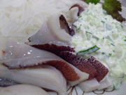 ファイル 778-4.jpg