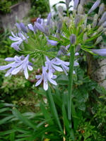 ファイル 779-1.jpg