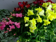 ファイル 782-1.jpg