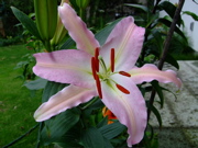 ファイル 783-2.jpg