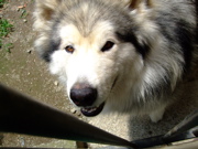 ファイル 788-2.jpg