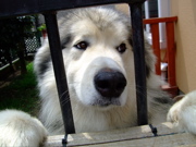 ファイル 788-3.jpg