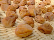 ファイル 791-1.jpg