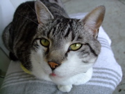 ファイル 796-1.jpg