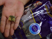 ファイル 803-1.jpg