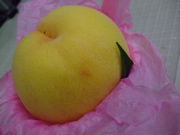 ファイル 803-2.jpg