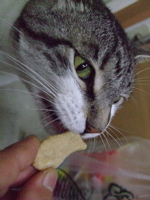 ファイル 803-3.jpg