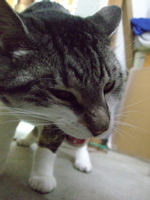 ファイル 803-4.jpg