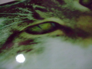 ファイル 804-1.jpg