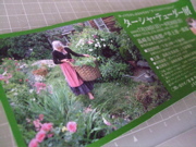 ファイル 807-1.jpg