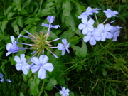 ファイル 808-1.jpg