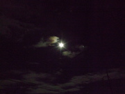 ファイル 810-1.jpg