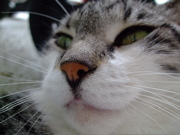 ファイル 813-1.jpg