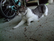 ファイル 821-2.jpg