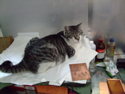 ファイル 821-3.jpg