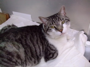 ファイル 821-4.jpg