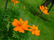 ファイル 823-1.jpg