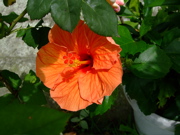 ファイル 824-1.jpg