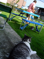 ファイル 826-1.jpg