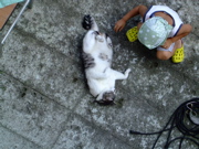 ファイル 826-3.jpg