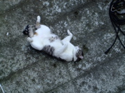 ファイル 826-4.jpg