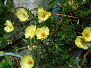 ファイル 827-1.jpg