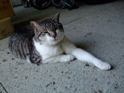 ファイル 829-1.jpg