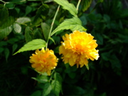 ファイル 830-1.jpg