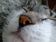 ファイル 833-1.jpg